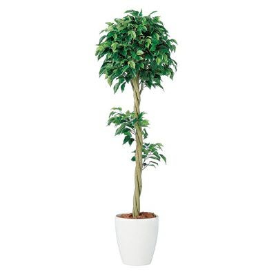 観葉植物 人工 樹木 ベンジャミン トピアリーFST 高さ1500mm Mサイズ