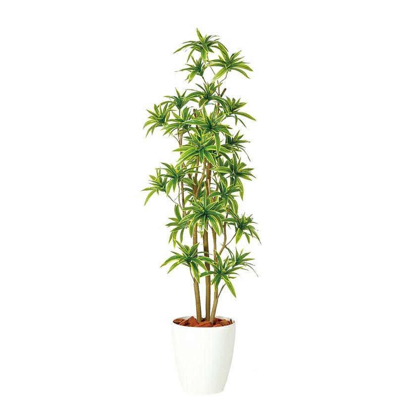 観葉植物 人工 樹木 ソング・オブ・インディア FST 高さ1500mm Mサイズ