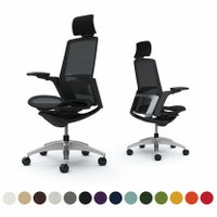 C78ABS | フィノラ エクストラハイバック 座メッシュ アジャストアーム メッキパネル ポリッシュ脚 ブラックボディ ランバーサポート付 オカムラ｜¥222,900の動画