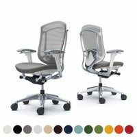 CC83BZ | コンテッサ セコンダ ハイバック 座クッション アジャストアーム ポリッシュフレーム ホワイトボディ ランバーサポート付き オカムラ｜¥226,400の動画