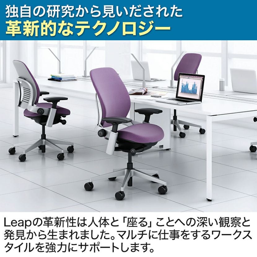 LEAP-10100APVP J501 J501 | リープ APモデル ブラックフレーム 背座