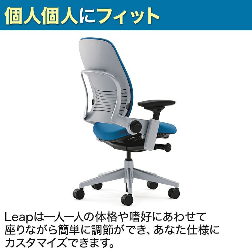LEAP-10100APVP J501 J501 | リープ APモデル ブラックフレーム 背座 LEAP-10100APVP J501 J501 | リープ APモデル ブラックフレーム 背座