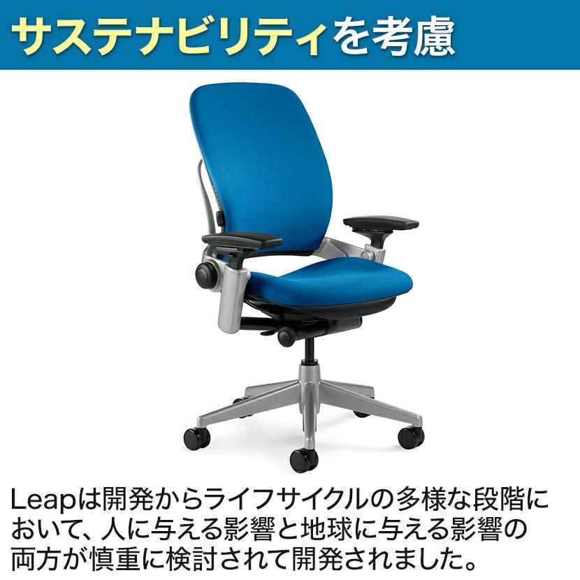 LEAP-10100APVP J501 J501 | リープ APモデル ブラックフレーム 背座