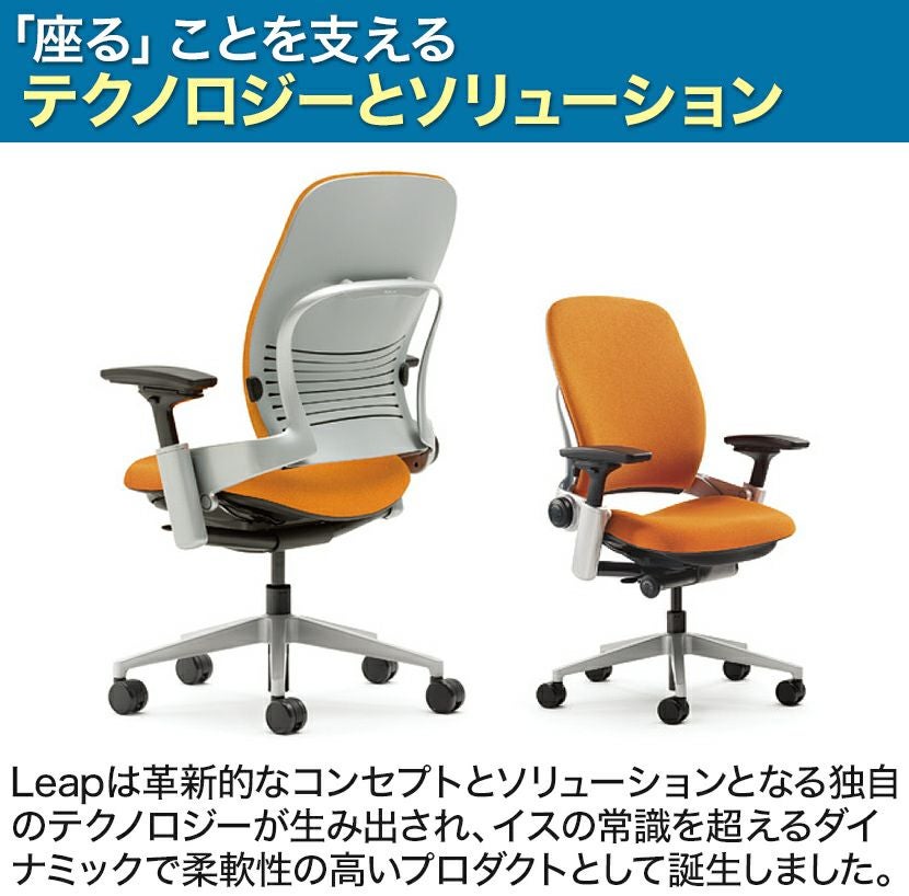 LEAP-10100APVP J501 J501 | リープ APモデル ブラックフレーム 背座