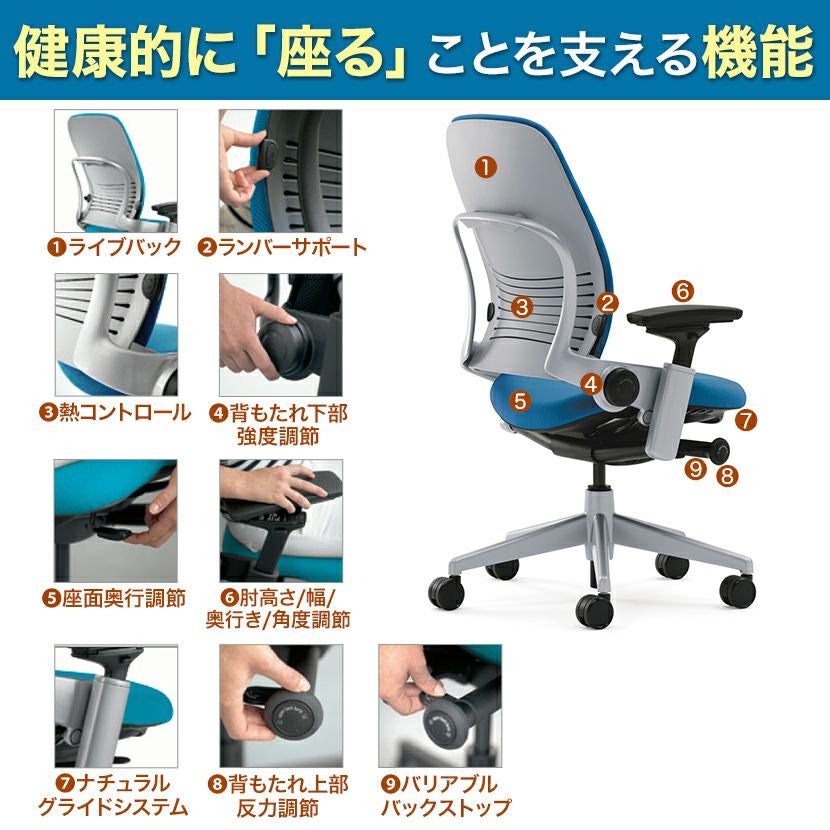 LEAP-10100APVP J501 J501 | リープ APモデル ブラックフレーム 背座