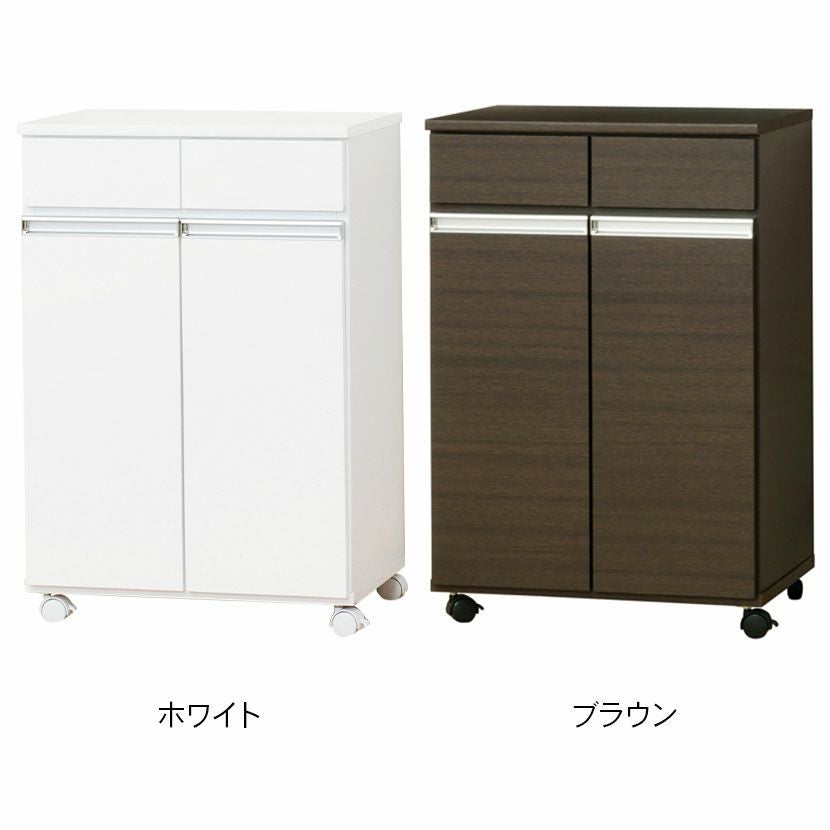 幅55cm ダストボックス2D ダイニング キッチン カウンター ゴミ箱 分別