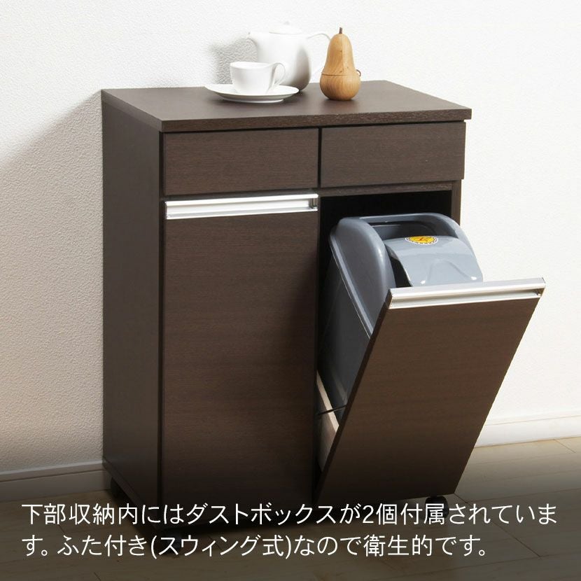 幅55cm ダストボックス2D ダイニング キッチン カウンター ゴミ箱 分別