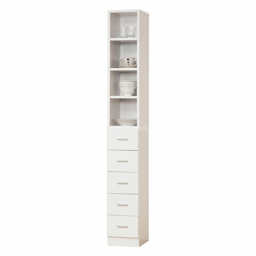 収納 天馬 収納ボックス 幅44×奥行66×高さ32cm ロックス 660 L 押入れ用