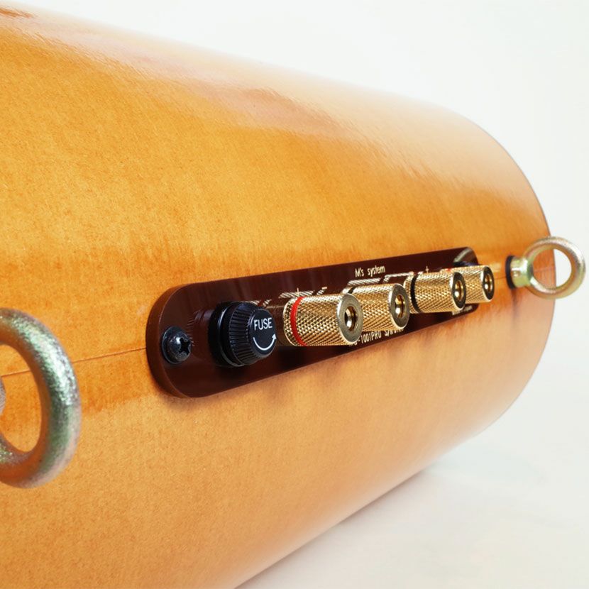 エムズスピーカー 波動スピーカー エムズシステム 店舗施設用天井吊り