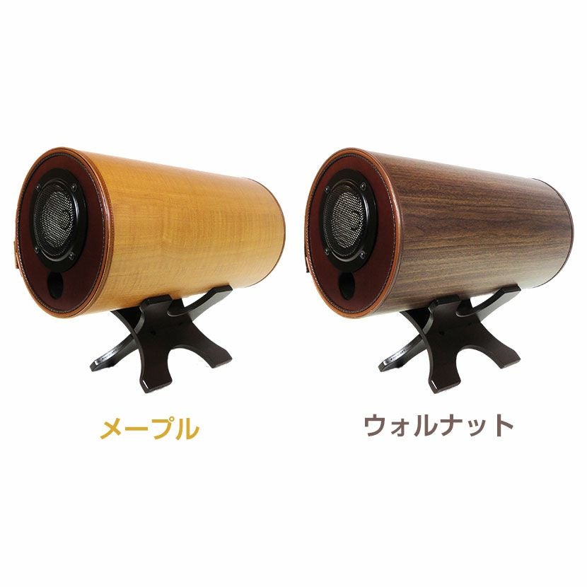 エムズスピーカー 波動スピーカー エムズシステム MS1001 完成品