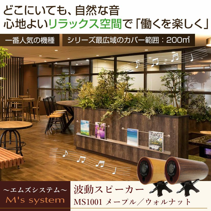エムズスピーカー 波動スピーカー エムズシステム MS1001 完成品