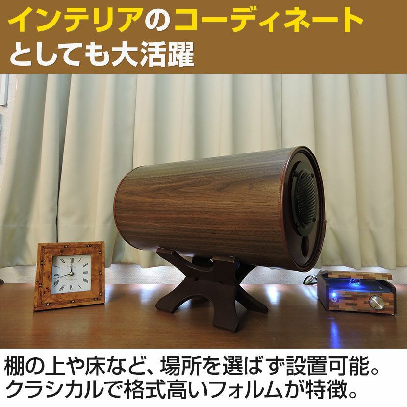 エムズスピーカー 波動スピーカー エムズシステム MS1001 完成品