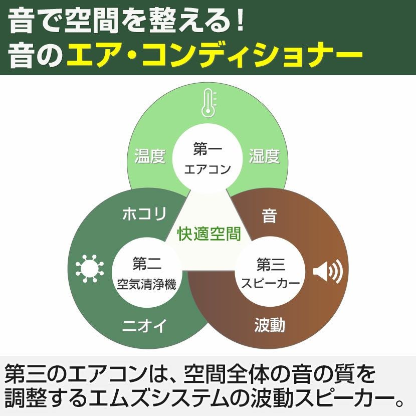 エムズスピーカー 波動スピーカー エムズシステム MS1001 完成品