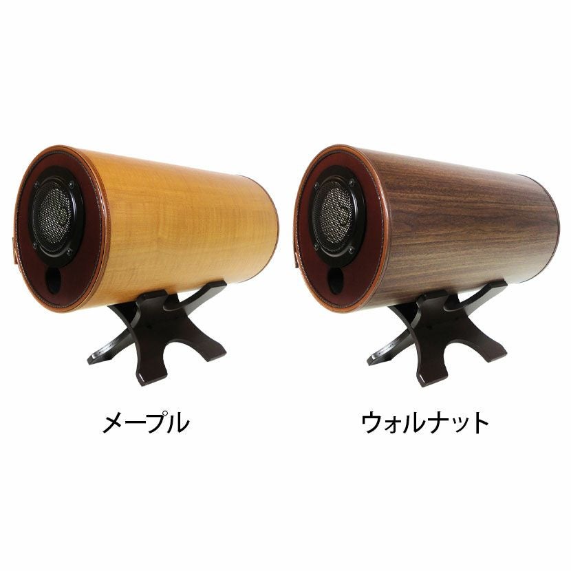 エムズシステムMS-1001＋nu force小型アンプセット エムズスピーカー＆アンプセット 波動スピーカー エムズシステム