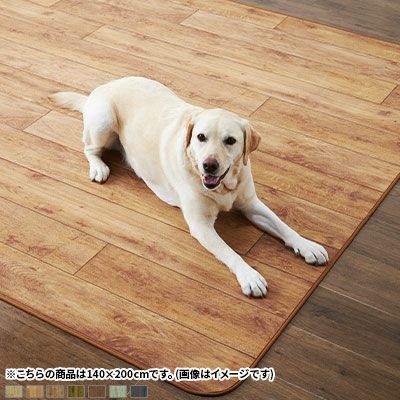 200×200cm ダイニング・ペットにぴったりのゴシゴシ水洗いできるラグ 