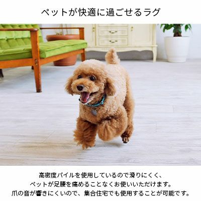 200×200cm ダイニング・ペットにぴったりのゴシゴシ水洗いできるラグ