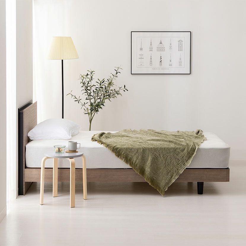 設置無料】フランスベッド シングルサイズ ベッド フレーム BG-001 BG