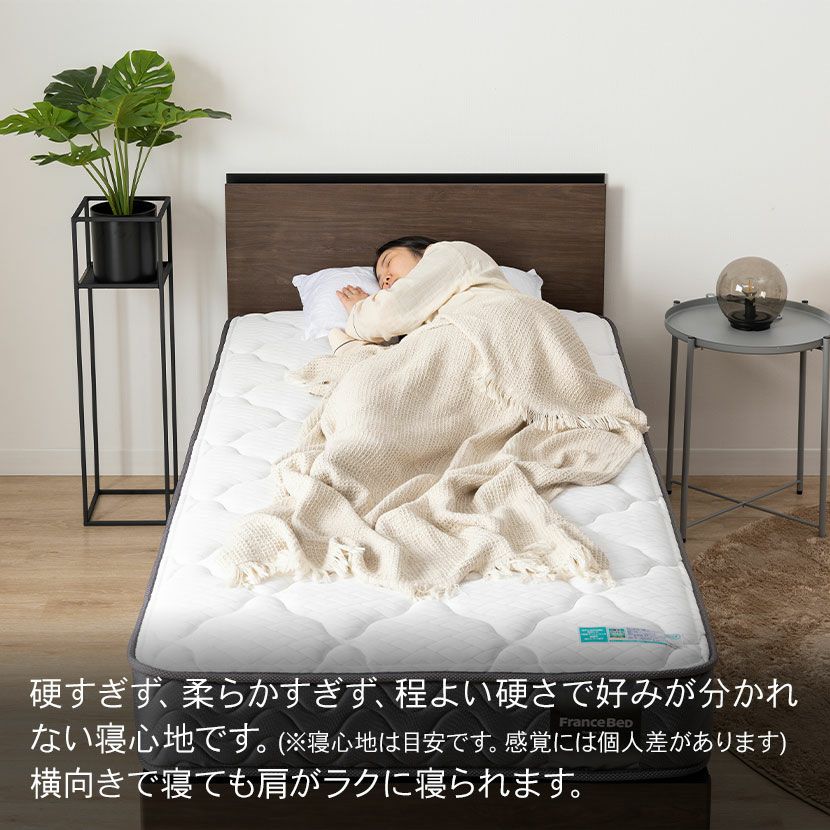 設置無料】フランスベッド セミダブルサイズ マットレス TW-100α1 高