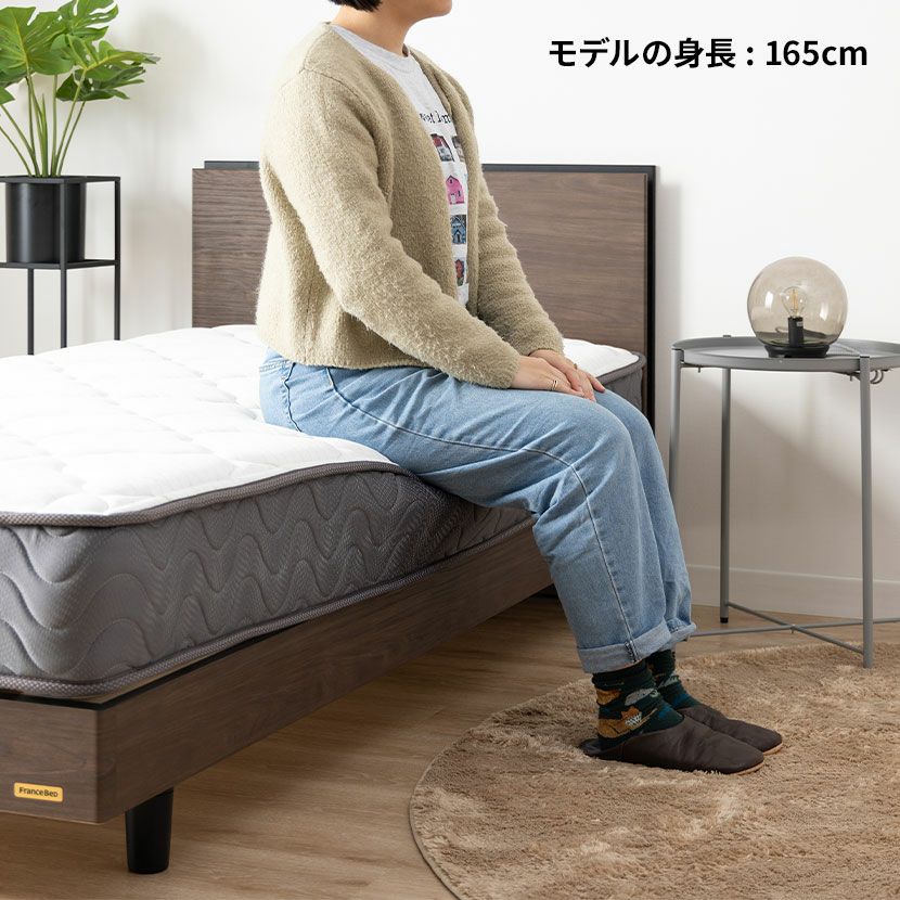 設置無料】フランスベッド セミダブルサイズ マットレス TW-100α1 高
