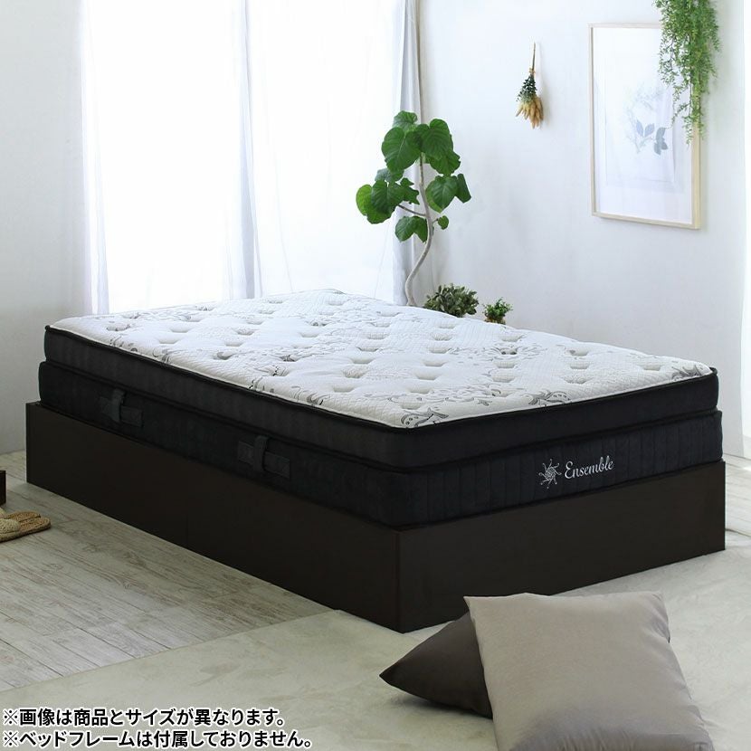 設置無料】フランスベッド セミシングルサイズ マットレス TW-010α1 高