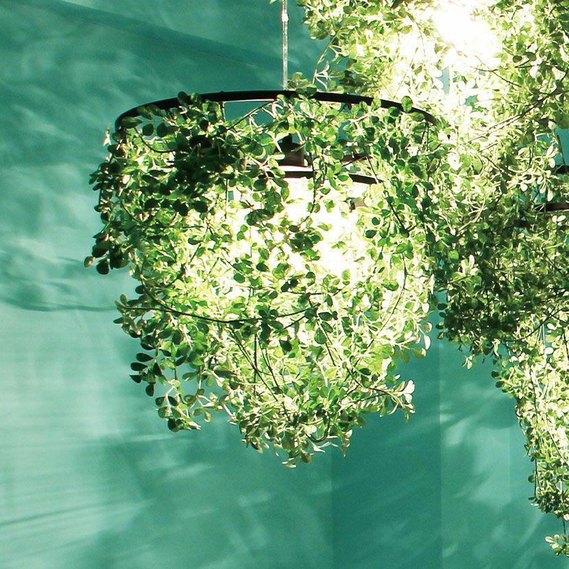 白熱電球付き】テーブルランプ オーランド ビッグ 置き型 照明