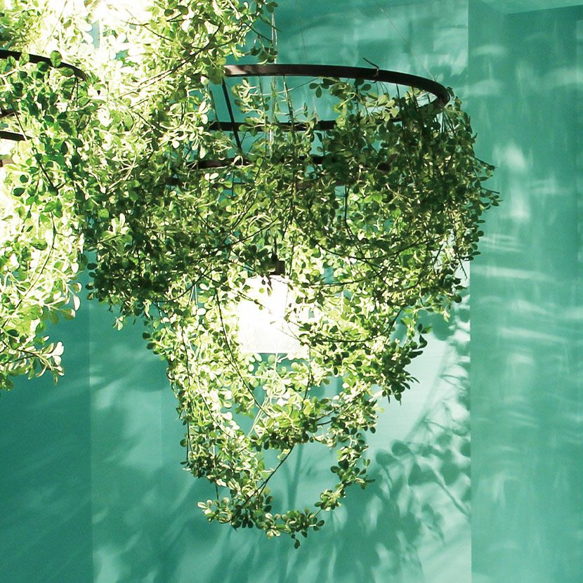 白熱電球付き】1灯 ペンダントライト フォレスティ ライト 吊り下げ