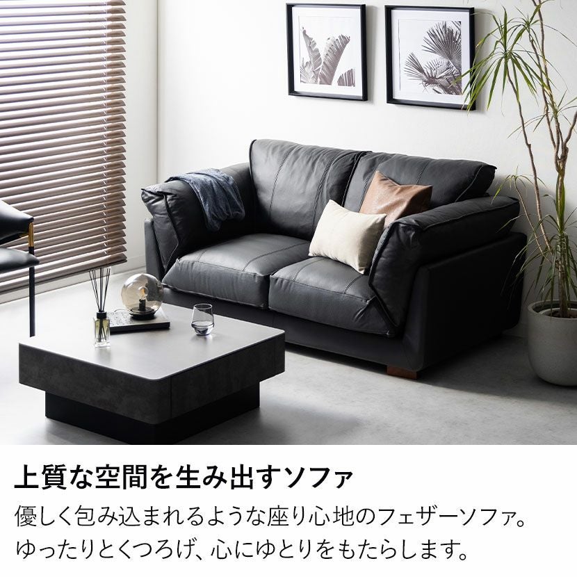 設置無料】幅174cm 2人掛け ソファ エーゼ リビングソファ おしゃれ