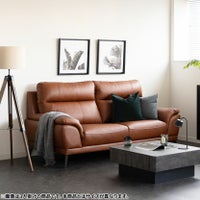 【設置無料】幅170cm 2人掛け ソファ スタッド 本革 ハイバック ソファー ウレタン レザーソファ おしゃれ リビングソファ モダン ブラウン レッド グレー ルンバブル｜¥126,364の動画