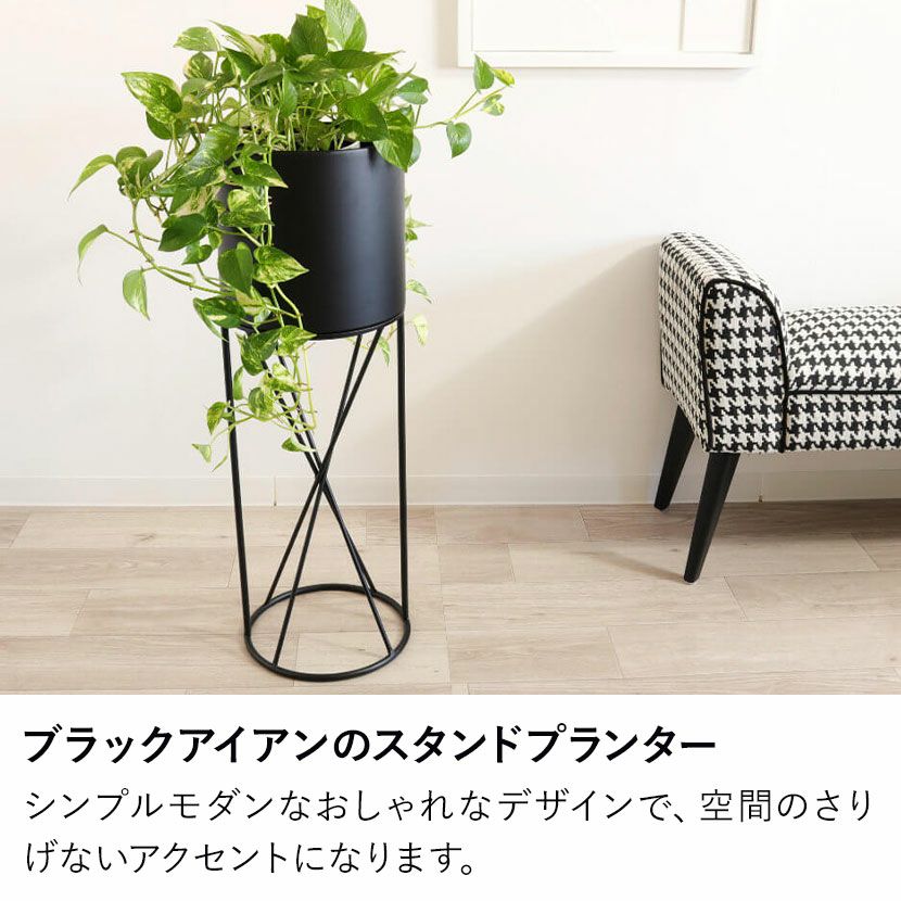 000000017678-02.jpg?size=l&w=