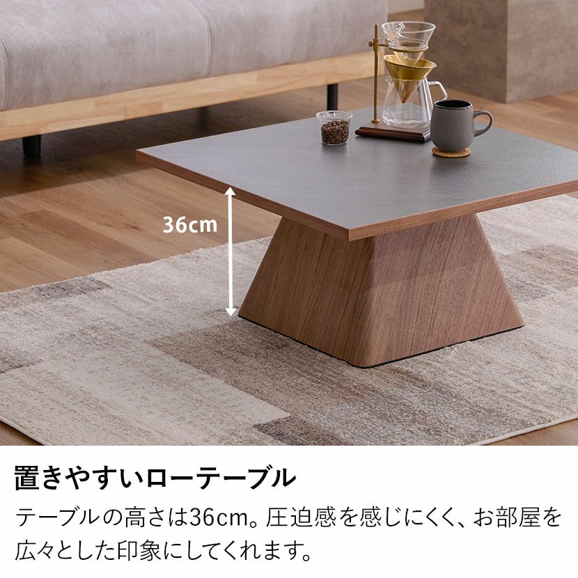 幅75cm 正方形 センターテーブル ラグナー メラミン 天然木 木製