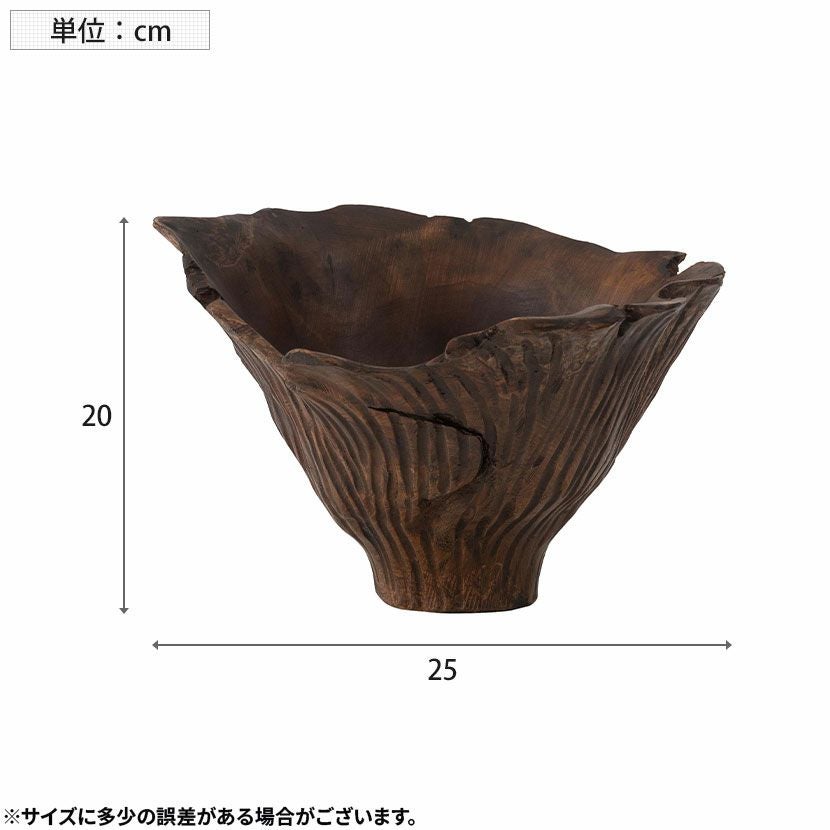 幅25cm ウッドボウル インテリア マルチボウル 木製 天然木 トレー