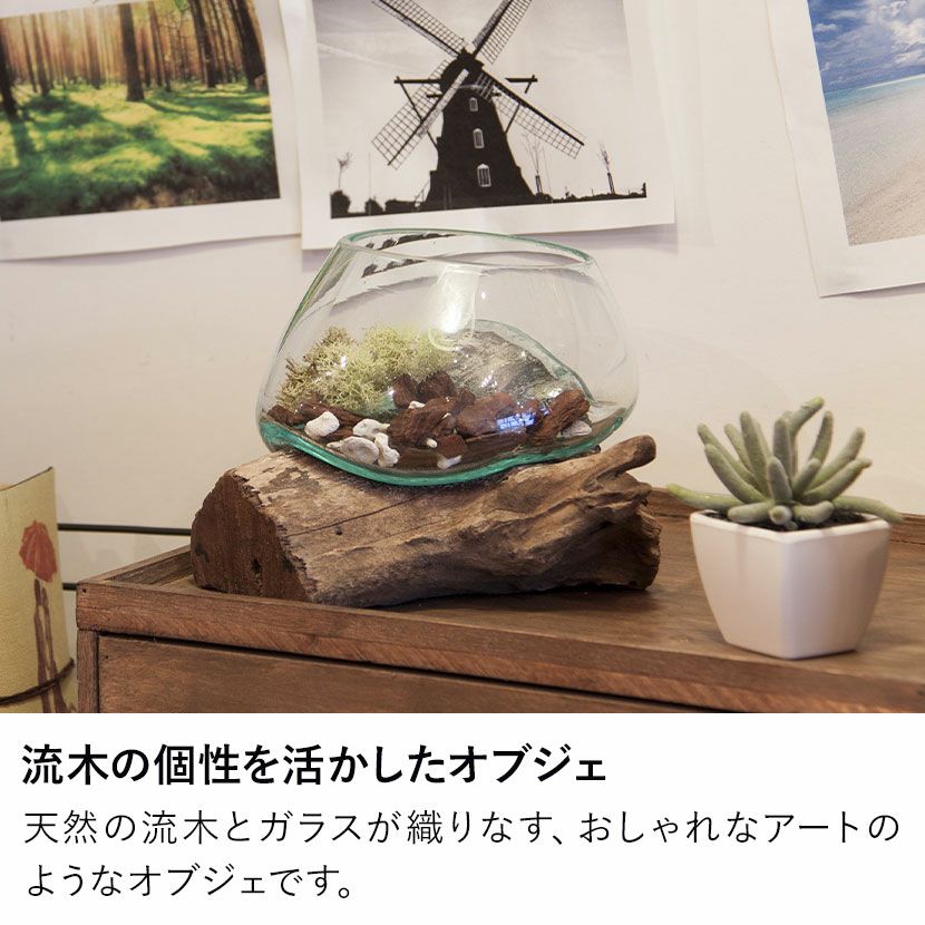 幅20～30cm グラス インテリア 雑貨 ガラス オブジェ フラワーポット