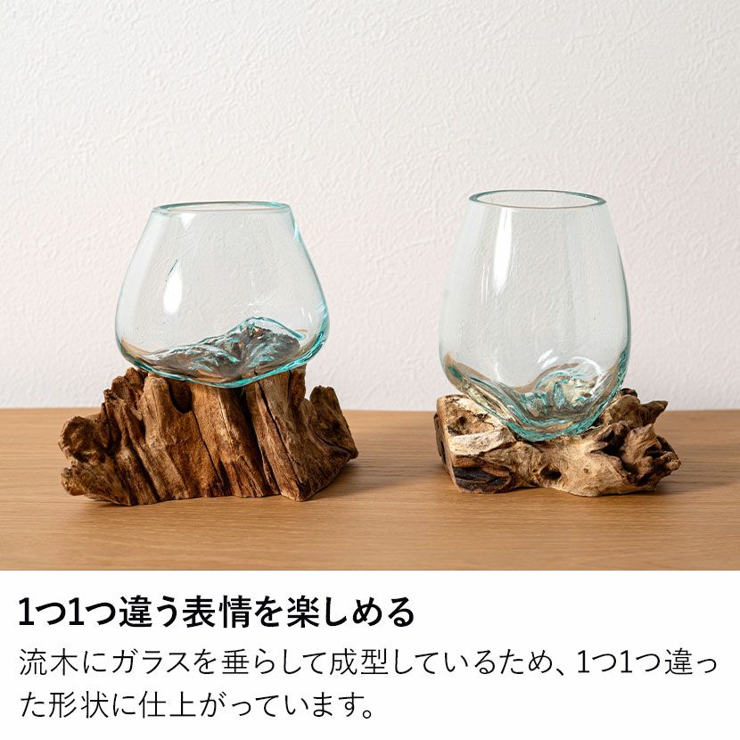 流木？にピッタリ合ったガラスの置物 ELEMENTS ガラス鉢 流木 プランターオブジェ ガラスボウル オブジェ