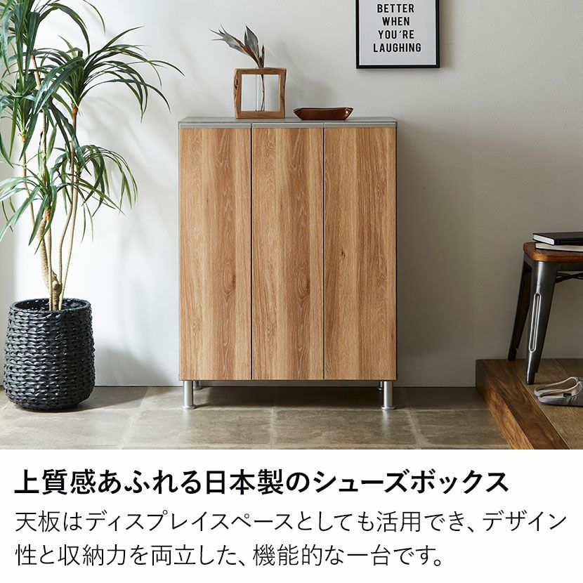 幅74cm ロータイプ シューズボックス 日本製 下駄箱 収納 靴箱 縦型