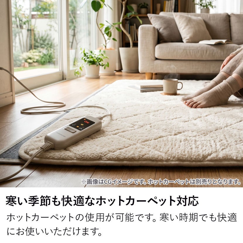 240×240cm ラグ マルナ カーペット消臭 抗菌 正方形 マット 防炎